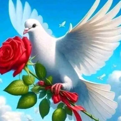 I wish peace to my mother land Tigray & to the whole world!