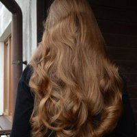 DaisyBrowne (@gqwjocfe9vsq2) 's Twitter Profile