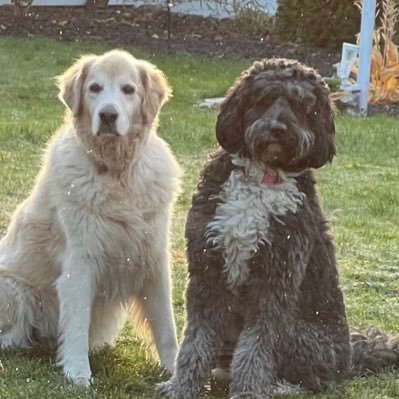 scottyj509's profile picture. PNW, Husband, Dad, Business owner. Go Cougs! And I go to Vegas a lot.