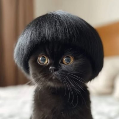 area51girl's profile picture. 