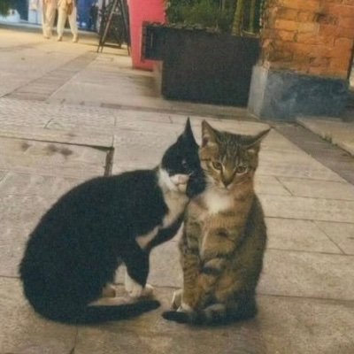 dilhunvemecruh's profile picture. Rabbim, biraz daha bağışla beni..