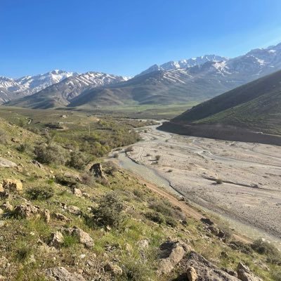 FarsimadJ's profile picture. 