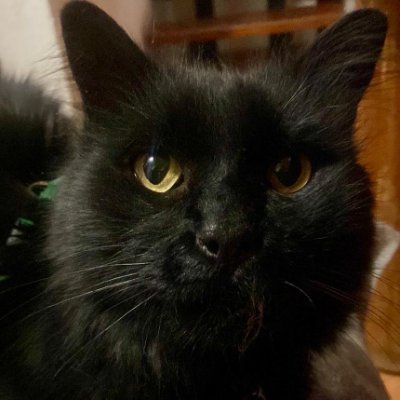 Eren_Ayanami's profile picture. Lo más cercano a un Mentat que encontrarás en el mundo: corazón muy frío y mente calculadora, de vez en cuando gusto de alimentar mi alter-ego