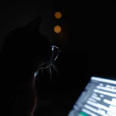rjmacarthy's profile picture. My eyes discern what their words obscure. 🇬🇧 🏴󠁧󠁢󠁷󠁬󠁳󠁿