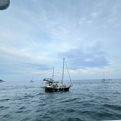 TMB22523292's profile picture. 