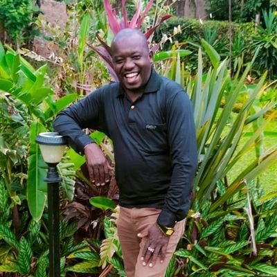 vaverokennedy's profile picture. 