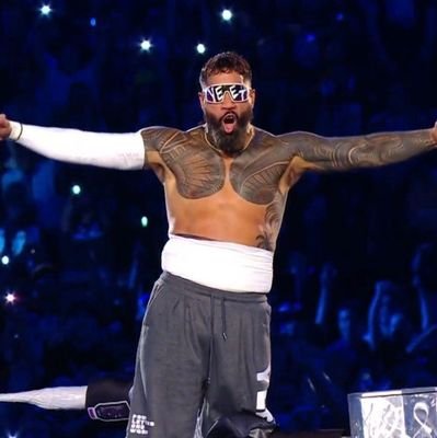 OneWordOneSound's profile picture. A legacy founded on blood and sweat leads this veteran from being the right hand to the face of this franchise and possibly many more.┇@WWEUsos parody.