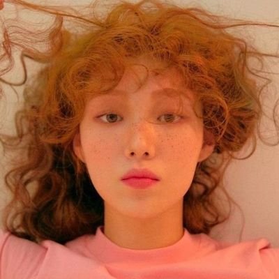 my headliner, seventeen ꒰•̫͡•ོ꒱ | published author 📖