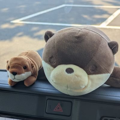 ｦカださんのプロフィール画像