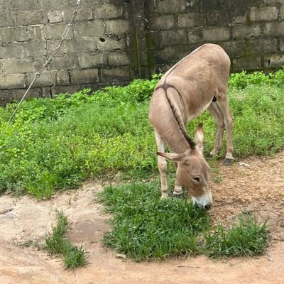 tamzic12385's profile picture. And do not forget to do good and to share with others, for with such sacrifices God is pleased.