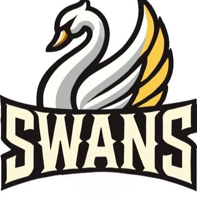 草野球チーム SWANS （マネージャー運営中）対戦相手募集中です！DM来ていただけると助かります🙇🏻‍♀️