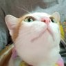happysunskies's profile picture. ถึงจะไม่ดีพอสำหรับเค้า แต่ทำดีที่สุดของเราแล้ว 还是你的笑容最可爱。#amhappypix