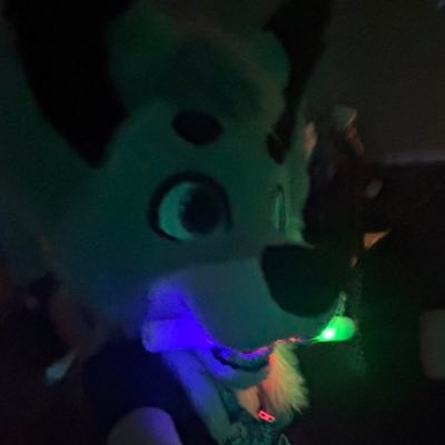 ZnowyFurry's profile picture. Ranked Beat Saber Player Top 1000🌐(Top 450🇺🇸) Gay Furry Femboy POS 📍Seattle🌲