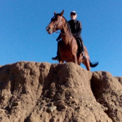 Mes opinions et réflexions n'engagent que moi. D'abord mon Roi