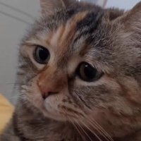 ぐち (@_mina_dog) 's Twitter Profile