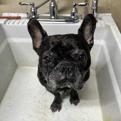 JorMeom16308's profile picture. i make music