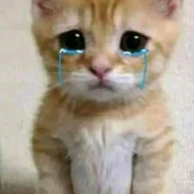 HBch268787's profile picture. 