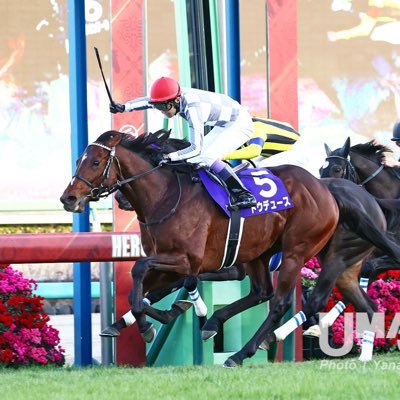 lifeiskeiba2021's profile picture. 一生競馬します。