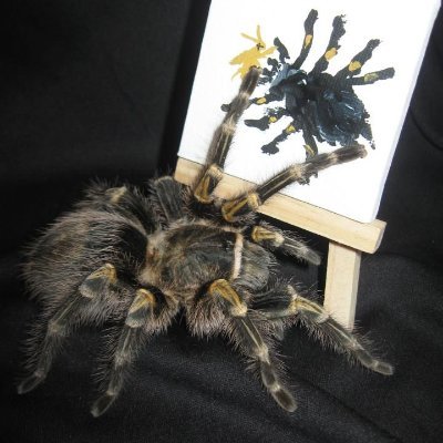45Aranhas's profile picture. As vezes 5600 cigarros e 29 cafézes é janta

Tbm conhecida como Heather e mamãe da Sadako

Qualquer Pronome