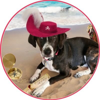 I'm Winnie, a Sassy rescue pup from da Bayou. 🐶🎊 I have some big paws to fill as I follow in Grover's path. I pawtrol in his honor. LT Colonel #ZSHQ ♥️💫🌠