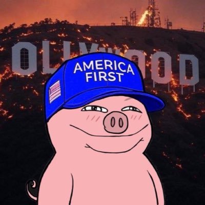 Your culture is my hairstyle- $BITCOIN - HarryPotterObamaSonic10Inu - MK ULTRA SURVIVOR - Tinfoil Researcher - Smol Biz Owner - IRL Piglet