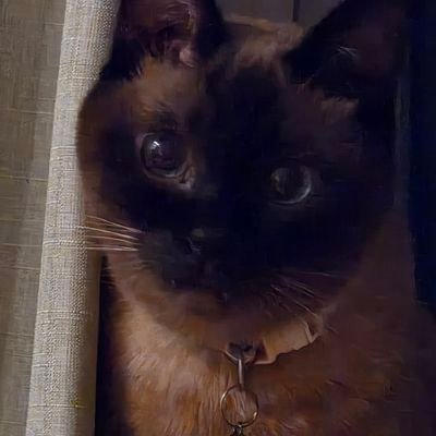 1ygSFwdfdsdf8nP's profile picture. 宜しくお願い致します