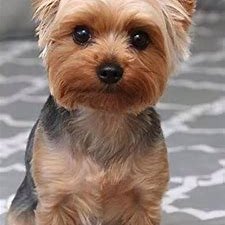 CarpWell9466's profile picture. 