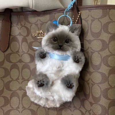 CfNightowl's profile picture. Extraordinary Night Owl