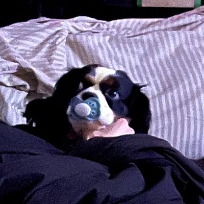 Tazzzzn's profile picture. 