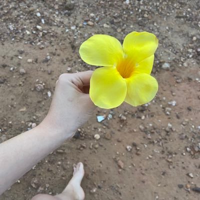 AlexiaVict7952's profile picture. 