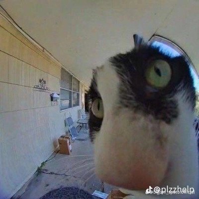 NghiemHanh55379's profile picture. The secret of faith lies in patience