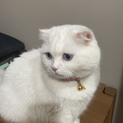 chantanawi4211's profile picture. 