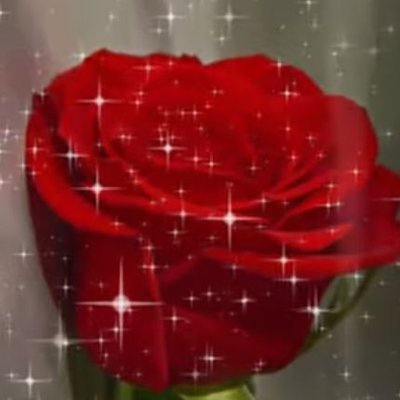HGriffin18077's profile picture. 