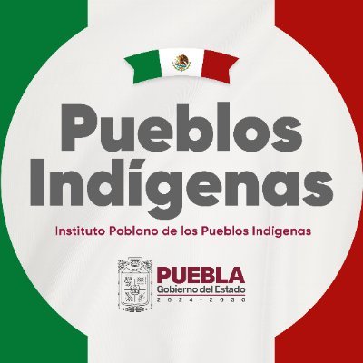 Institución aliada estratégica de los Pueblos Indígenas en el ejercicio pleno de sus derechos, construyendo un desarrollo con identidad.