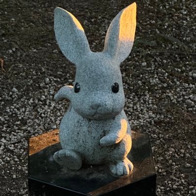 fewuy's profile picture. 