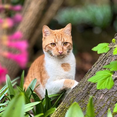 RajDuraisamy1's profile picture. Passionate person on new trends