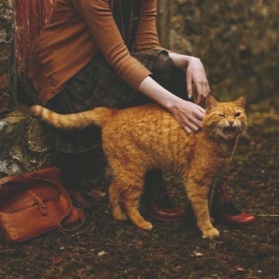 Consumer of fanfic and sometimes writer. she/her. Ravenclaw|ISFP. Minors DNI. I mean it. 🚫AI 🚫Terfs https://t.co/fJq0Mo87vh