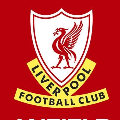 Level 2 GAA Coach / Coaching Officer @AughlisnafinGAC /@celticfc / @lfc