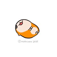 かのちゃん (@kano__nya) 's Twitter Profile