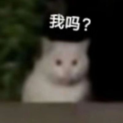 lzxx_dong's profile picture. 整点色的
擅长摸鱼📷