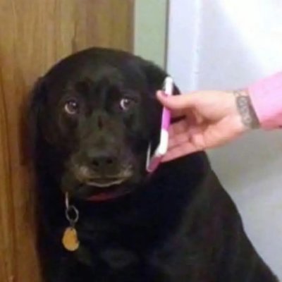 Kaboomb777's profile picture. Escribo mis aprendizajes entre alguna que otra tontería.

🎶 + ✝️ 📿 + 🏊‍♀️ 

🙋🏻‍♀️