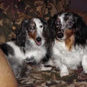 Kim Hembree - @HembreeKim - Twitter