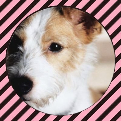 NinguÃĐm nos conhece bem como nÃģs nos conhecemos... Tudo o que sabemos entre nÃģs ÃĐ suficiente... FreenBecky ð
