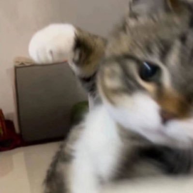 Ux_xUoO___1's profile picture. 