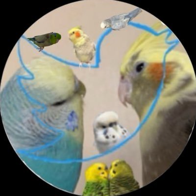 nico_noah_968's profile picture. 気がつけばﾄﾞｯﾌﾟﾘ福祉の世界にﾊﾏﾘｺﾝﾃﾞｲﾀ相談支援専門員。医ケア児等CO。介護福祉士。保育士。 公認心理師。チャイルドアートサポーター。絵も描く。鳥飼。夭逝した18ﾄﾘｿﾐｰ児と凸凹kidsで配慮が嬉しい児の母でもありまする。 ちなみに何処が福祉垢なのかわからない程に謎呟きばかりdeath