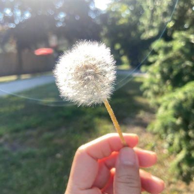 mizzcharcharoen's profile picture. Reborn as Thai. Catholic. Potterhead. Weightlifting Fairy. Cultural Worker. Pro-Pinoy 🌸 Fangirl to DLSU Lady Spikers🏐Kaf🏐PLDT High Speed Hitters 🩷 Madz🎶