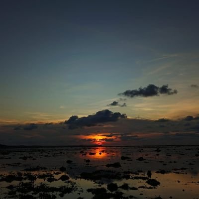 Dezs711141's profile picture. 