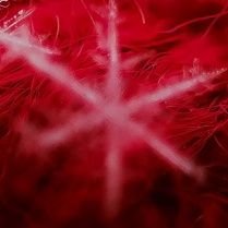 catmaru_0430's profile picture. 見えてる熊だけ駆除しても未来は全く安心できないし限界集落潰しの熊擁護がいる限り絶滅させるのみ。駆除隊だけに身の危険はダメだから毒餌と睡眠餌撒いて住民が槍でトドメを刺す、住民に護身スタンガンを配る←を行政に意見したがやらない！そんなんだからメガソーラー利権も朝鮮熊も絶滅できない！駆除隊を酷使させた行政と住民のツケだ払え！