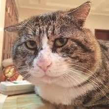 Conman44z's profile picture. ชายแท้ ครับ สะอาด ความลับ ไม่คุกคาม