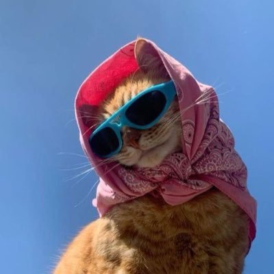 Annaaiam's profile picture. Just deh yah fi the vibes